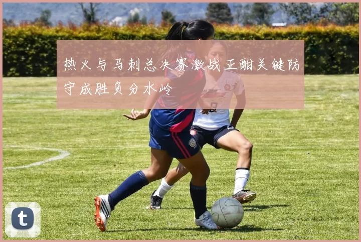 热火与马刺总决赛激战正酣关键防守成胜负分水岭