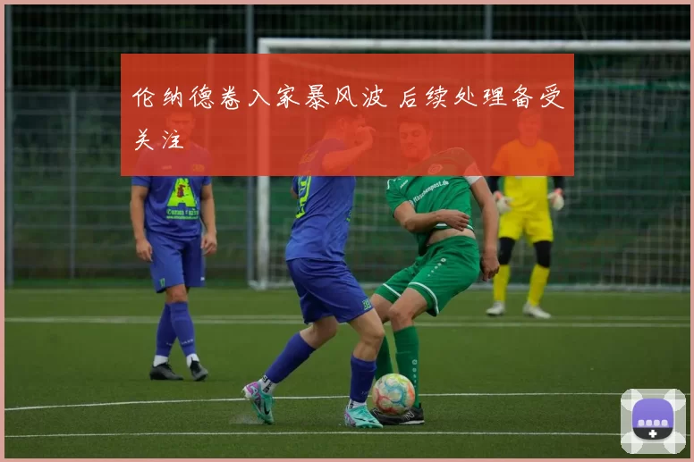 伦纳德卷入家暴风波 后续处理备受关注