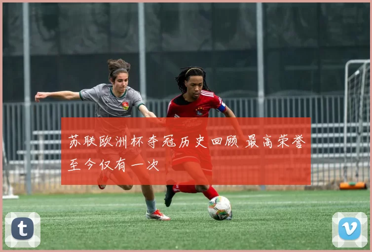 苏联欧洲杯夺冠历史回顾 最高荣誉至今仅有一次