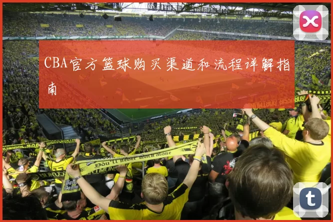 CBA官方篮球购买渠道和流程详解指南