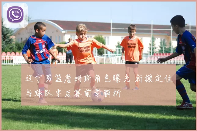 辽宁男篮詹姆斯角色曝光 新援定位与球队季后赛前景解析