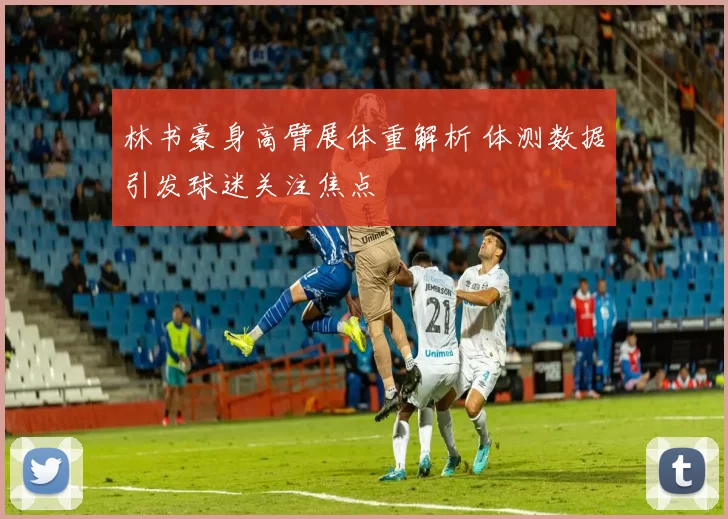 林书豪身高臂展体重解析 体测数据引发球迷关注焦点