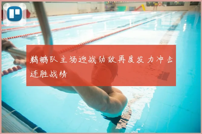 鹈鹕队主场迎战劲敌再度发力冲击连胜战绩