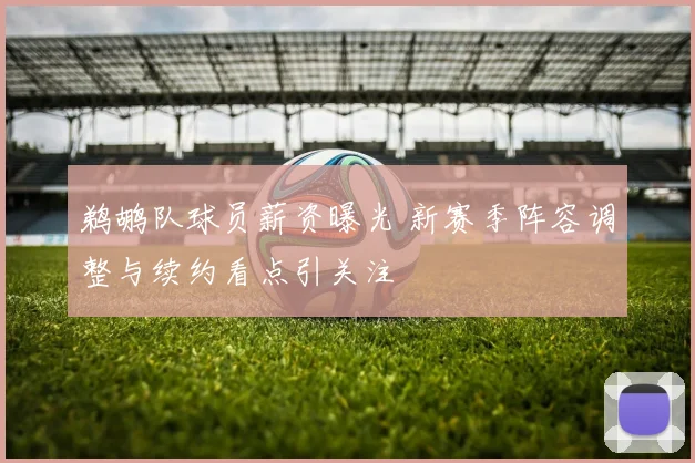 鹈鹕队球员薪资曝光 新赛季阵容调整与续约看点引关注