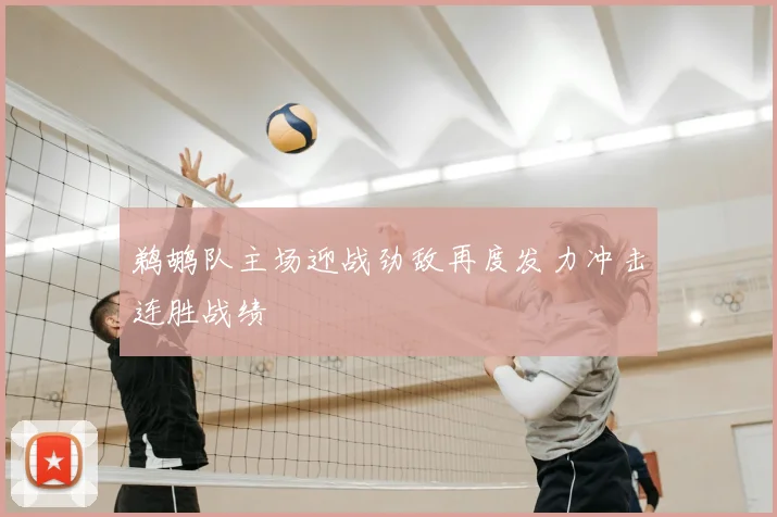 鹈鹕队主场迎战劲敌再度发力冲击连胜战绩