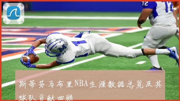 斯蒂芬马布里NBA生涯数据总览及其球队贡献回顾